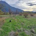 Vendo chacra en El Hoyo. Zona de  chacras, no es Mallin. Tierra muy productiva. Servicios, agua de perforación. Escritura individual dos has, una ha en condominio. 1 ha: U$S 72. 000. 2 has U$D 140.000. Solo Wpp.: +542944531270.